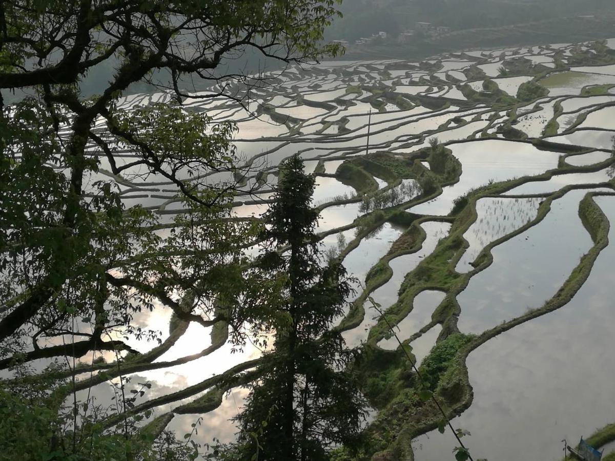 多依湾客栈havre De Paix Duoyiwan Hotell Yuanyang  Exteriör bild